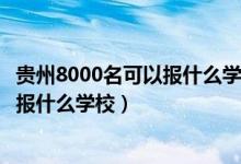 贵州8000名可以报什么学校（贵州高考位次20000左右适合报什么学校）