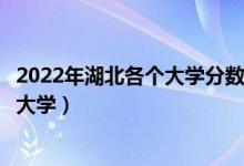 2022年湖北各个大学分数线及高考位次预测（多少位次能上大学）