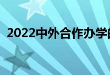 2022中外合作办学的二本大学（哪些更好）