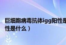 巨细胞病毒抗体igg阳性是什么病毒（巨细胞病毒抗体igg阳性是什么）