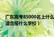 广东高考85000名上什么学校（广东高考位次170000左右适合报什么学校）