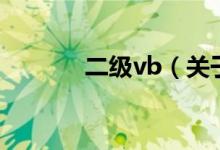 二级vb（关于二级vb的介绍）