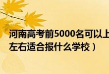 河南高考前5000名可以上什么学校（河南高考位次200000左右适合报什么学校）