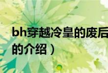 bh穿越冷皇的废后（关于bh穿越冷皇的废后的介绍）