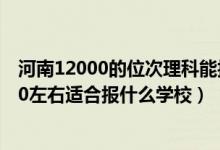 河南12000的位次理科能报哪些大学（河南高考位次120000左右适合报什么学校）