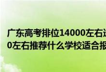 广东高考排位14000左右选哪间大学好（广东高考位次30000左右推荐什么学校适合报什么大学）