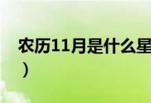 农历11月是什么星座（农历11月的星座介绍）