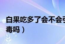 白果吃多了会不会引起腹泻（白果吃多了会中毒吗）