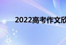 2022高考作文欣赏（作文必备金句）