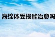 海绵体受损能治愈吗（海绵体受损能自愈吗）