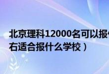 北京理科12000名可以报什么学校（北京高考位次10000左右适合报什么学校）