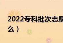 2022专科批次志愿怎样填报（填报技巧是什么）