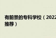 有前景的专科学校（2022业界内口碑非常好的5所专科学校推荐）