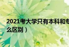 2021考大学只有本科和专科吗（2022高考专科和本科有什么区别）