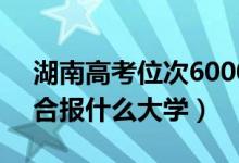 湖南高考位次60000左右推荐什么学校（适合报什么大学）