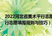 2022河北省美术平行志愿投档公式（2022高考志愿填报平行志愿填报规则与技巧）