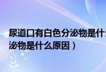 尿道口有白色分泌物是什么原因吃什么药（尿道口有白色分泌物是什么原因）