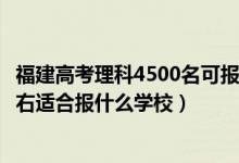 福建高考理科4500名可报什么学校（福建高考位次40000左右适合报什么学校）