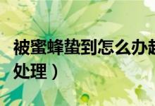 被蜜蜂蛰到怎么办越来越肿（被蜜蜂蛰到怎么处理）