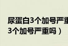 尿蛋白3个加号严重吗需要吃什么药（尿蛋白3个加号严重吗）