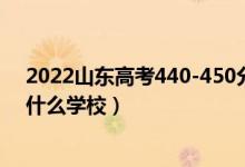 2022山东高考440-450分能报什么大学（物理历史类推荐什么学校）