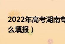 2022年高考湖南专科可以填报几个志愿（怎么填报）