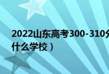 2022山东高考300-310分能报什么大学（物理历史类推荐什么学校）