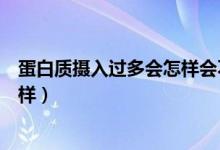 蛋白质摄入过多会怎样会不会拉肚子（蛋白质摄入过多会怎样）