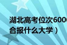 湖北高考位次60000左右推荐什么学校（适合报什么大学）