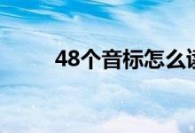 48个音标怎么读（48个音标如下）