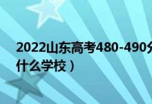 2022山东高考480-490分能报什么大学（物理历史类推荐什么学校）