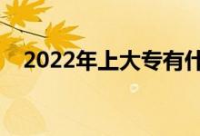 2022年上大专有什么出路（有什么前景）