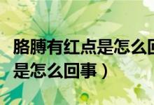 胳膊有红点是怎么回事不痛不痒（胳膊有红点是怎么回事）