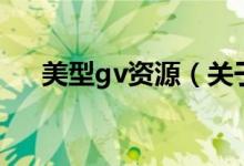 美型gv资源（关于美型gv资源的介绍）