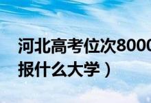 河北高考位次8000左右推荐什么学校（适合报什么大学）