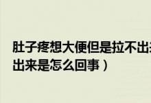 肚子疼想大便但是拉不出来怎么办（肚子疼想大便但是拉不出来是怎么回事）