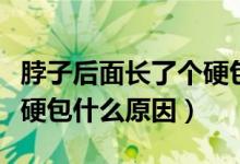 脖子后面长了个硬包什么科（脖子后面长了个硬包什么原因）