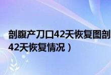 剖腹产刀口42天恢复图剖腹产刀口没长好图片（剖腹产刀口42天恢复情况）