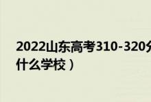 2022山东高考310-320分能报什么大学（物理历史类推荐什么学校）