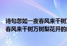 诗句忽如一夜春风来千树万树梨花开的意思（诗句忽如一夜春风来千树万树梨花开的解释）