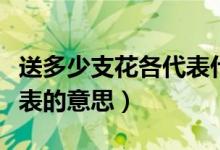 送多少支花各代表什么意思（送花的朵数与代表的意思）