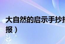 大自然的启示手抄报资料（大自然的启示手抄报）