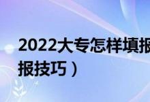 2022大专怎样填报志愿（专科生高考志愿填报技巧）