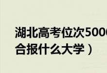 湖北高考位次50000左右推荐什么学校（适合报什么大学）