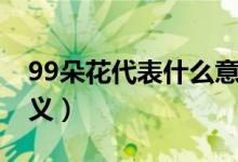 99朵花代表什么意思（99朵玫瑰花代表的含义）