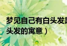 梦见自己有白头发是什么意思（梦见自己有白头发的寓意）