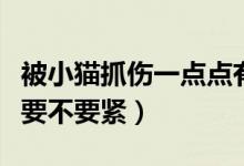 被小猫抓伤一点点有事吗（被小猫抓伤一点点要不要紧）