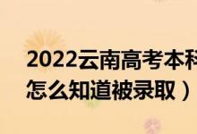 2022云南高考本科一批录取结果公布时间（怎么知道被录取）