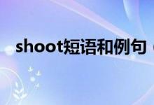 shoot短语和例句（shoot的用法及例句）