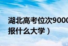 湖北高考位次9000左右推荐什么学校（适合报什么大学）